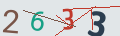 verifycode